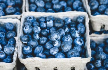 blueberries-1326154_1920 antioxidant rich blueberries